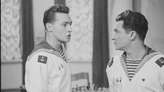 Звёзды на крыльях