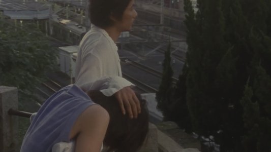 贅沢な骨