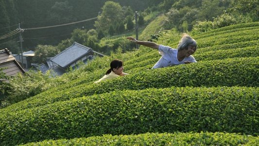 殯の森