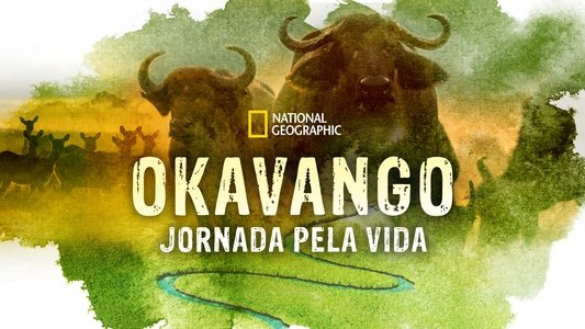 Okavango: River of Dreams - Director's Cut