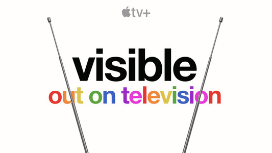 Visible: Out on Television