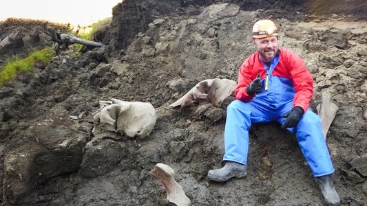 Mammoth Unearthed