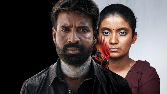 கொட்டுக்காளி