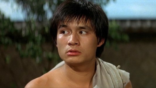 蔡李佛小子