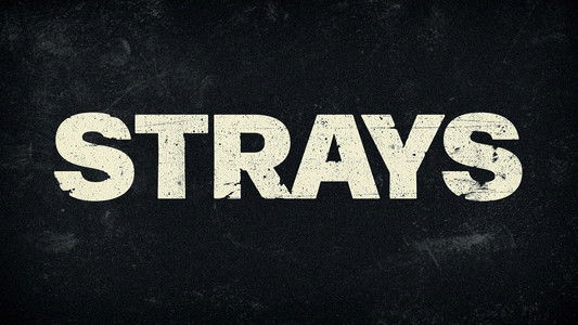 Strays