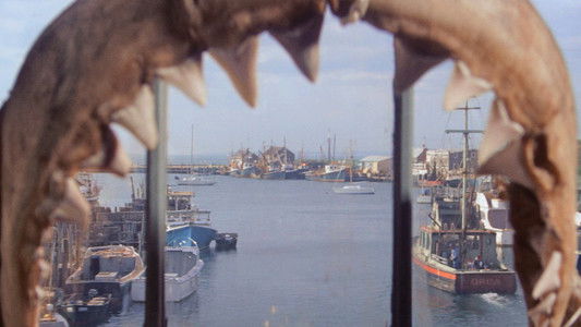 Jaws