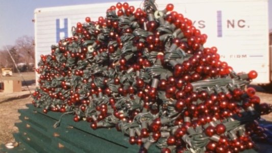 The National Christmas Tree, A Century of Celebration