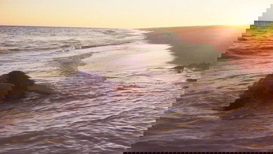 Waves