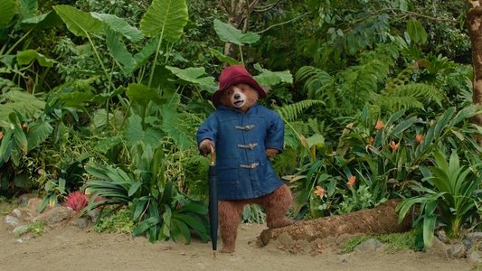 Paddington in Peru