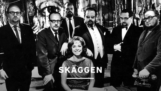 Skäggen
