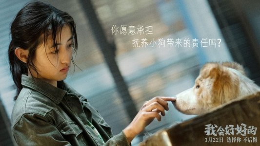 我会好好的