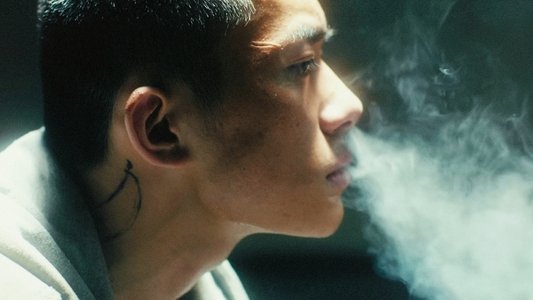 少年的你