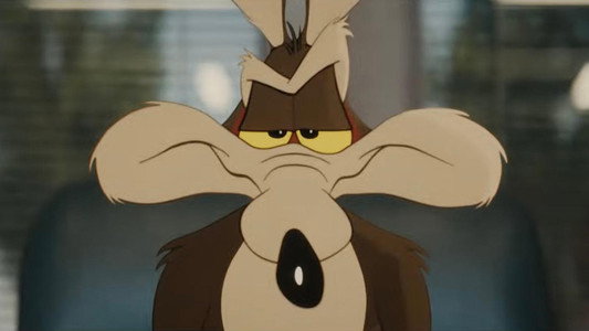 Coyote vs. Acme