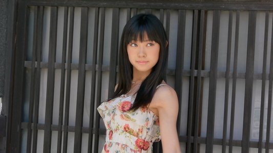 みるネコ
