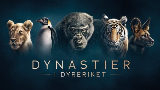 Dynasties
