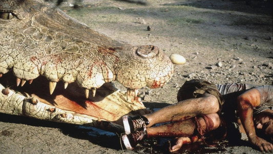 Crocodile