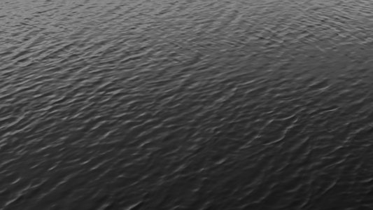 Facticity