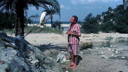 Il signor Robinson - Mostruosa storia d'amore e d'avventure