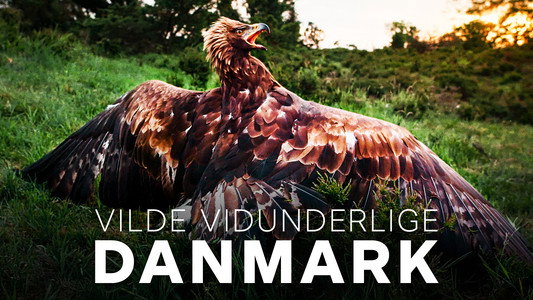 Vilde vidunderlige Danmark