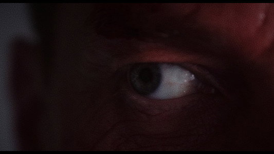 Dracula: The Night Around Us
