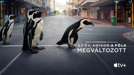 The Year Earth Changed