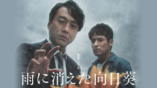 雨に消えた向日葵