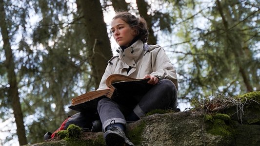 Schweigend steht der Wald