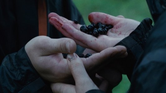 The Hunger Games