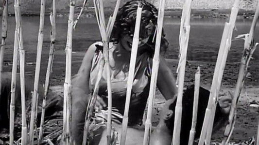 صراع في النيل