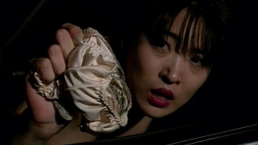 淫殺の虜　未来からのSEXマシーン