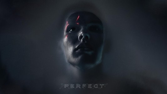 Perfect