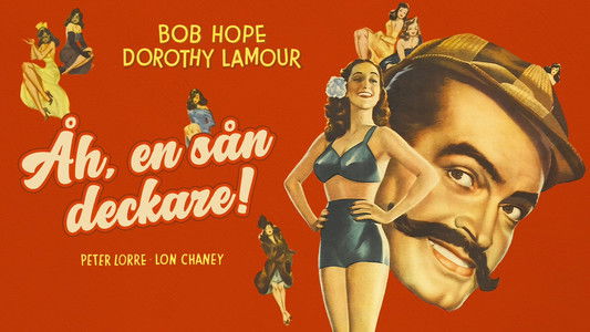 My Favorite Brunette