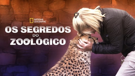 Secrets of the Zoo