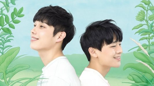 기울어진 여름