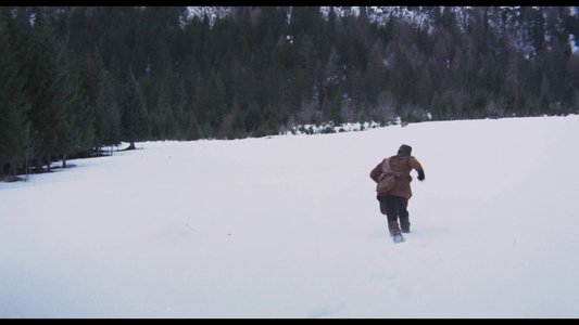Il grande silenzio