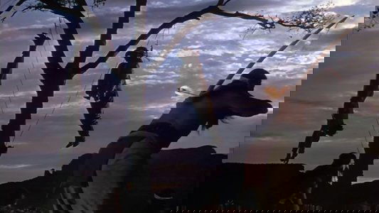 Broken Arrow