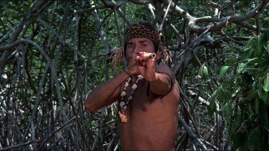 I Escaped from Devil's Island