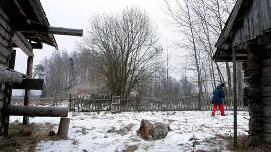 Наш милый, хороший духовой оркестр