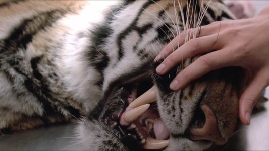 Manhunter