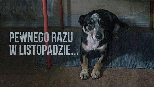 Pewnego razu w listopadzie...