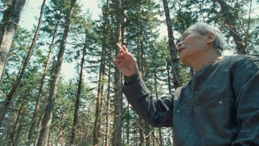 アンモナイトのささやきを聞いた