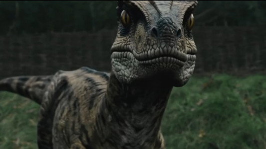 Raptor Attack