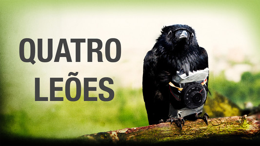 Four Lions
