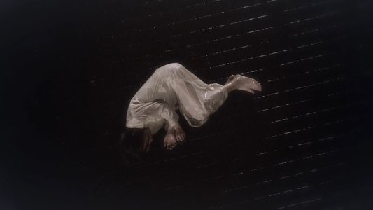 寄性獣医・鈴音 GENESIS