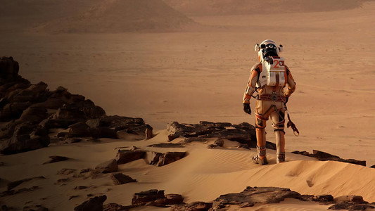 The Martian