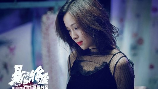 暴雪将至