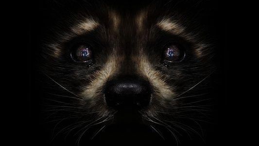 Guardians of the Galaxy Vol. 3