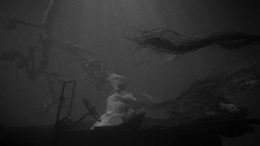 The Night of the Hunter