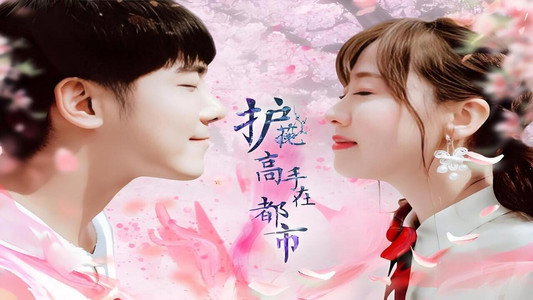 护花高手在都市