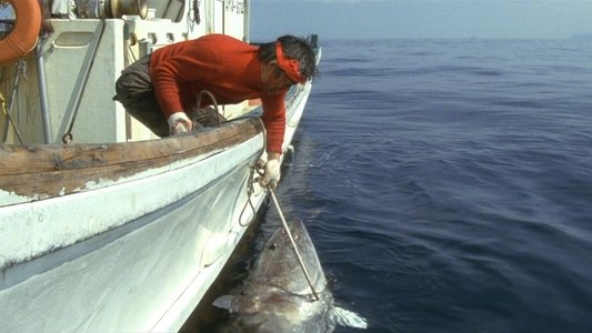 魚影の群れ